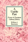 Image for Usable Past: Essays in European Cultural History
