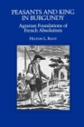 Image for Peasants and king in Burgundy: agrarian foundations of French absolutism