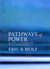 Image for Pathways of power: building an anthropology of the modern world