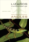 Image for Lizards in an evolutionary tree: the ecology of adaptive radiation in anoles : 10