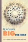 Image for Teaching Big History