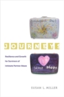 Image for Journeys: resilience and growth for survivors of intimate partner abuse