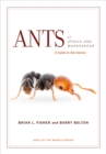 Image for Ants of Africa and Madagascar: a guide to the genera