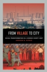 Image for From village to city: social transformation in a Chinese county seat
