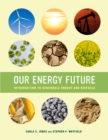 Image for Our Energy Future: Introduction to Renewable Energy and Biofuels
