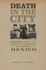 Image for Death in the city: suicide and the social imaginary in modern Mexico : 5