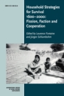 Image for Household strategies for survival, 1600-2000  : fission, faction and cooperation