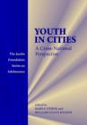Image for Youth in Cities
