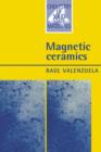 Image for Magnetic Ceramics