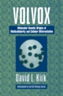 Image for Volvox
