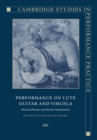 Image for Performance on lute, guitar, and vihuela  : historical practice and modern interpretation