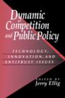 Image for Dynamic Competition and Public Policy