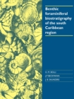 Image for Benthic foraminiferal biostratigraphy of the South Caribbean
