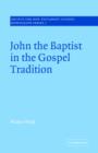 Image for John the Baptist in the Gospel Tradition