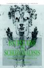 Image for Baudelaire and Schizoanalysis