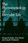 Image for The phenomenology of everyday life