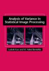 Image for Analysis of Variance in Statistical Image Processing