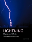 Image for Lightning  : physics and effects