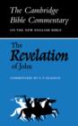 Image for The Revelation of John