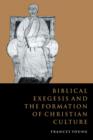 Image for Biblical Exegesis and the Formation of Christian Culture