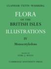 Image for Flora of the British Isles: Volume 4, Monocotyledons : Illustrations