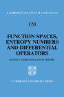 Image for Function spaces, entropy numbers and differential operators