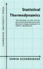 Image for Statistical Thermodynamics : A Course of Seminar Lectures