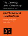Image for Old Testament Illustrations