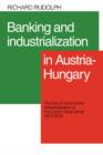 Image for Banking and Industrialization in Austria-Hungary