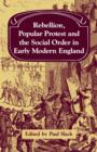 Image for Rebellion, popular protest and the social order in early modern England