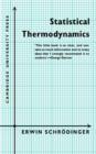 Image for Statistical Thermodynamics : A Course of Seminar Lectures