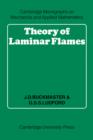 Image for Theory of Laminar Flames