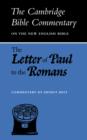 Image for The Letter of Paul to the Romans