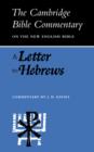 Image for A Letter to Hebrews