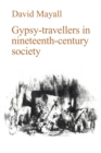 Image for Gypsy-travellers in nineteenth-century society