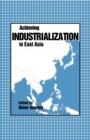 Image for Achieving Industrialization in East Asia