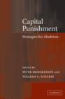 Image for Capital punishment  : strategies for abolition