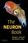Image for The NEURON book