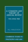 Image for A Common Law Theory of Judicial Review