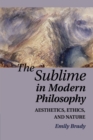 Image for The sublime in modern philosophy  : aesthetics, ethics, and nature