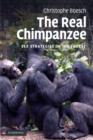 Image for The Real Chimpanzee