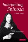 Image for Interpreting Spinoza  : critical essays