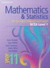 Image for Mathematics and statistics for the New Zealand curriculum year 11  : NCEA level 1
