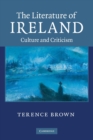 Image for The literature of Ireland  : culture and criticism