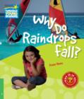 Image for Why do raindrops fall?: Level 3 factbook