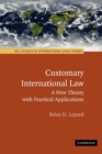Image for Customary International Law