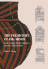 Image for The Prehistory of Asia Minor