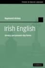 Image for Irish English