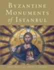 Image for The Byzantine monuments of Istanbul
