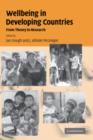 Image for Wellbeing in developing countries  : from theory to research